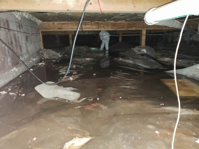 Expert Water Damage Repair