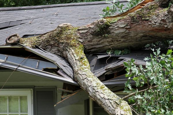 Cost of Storm Remediation in Douglasville