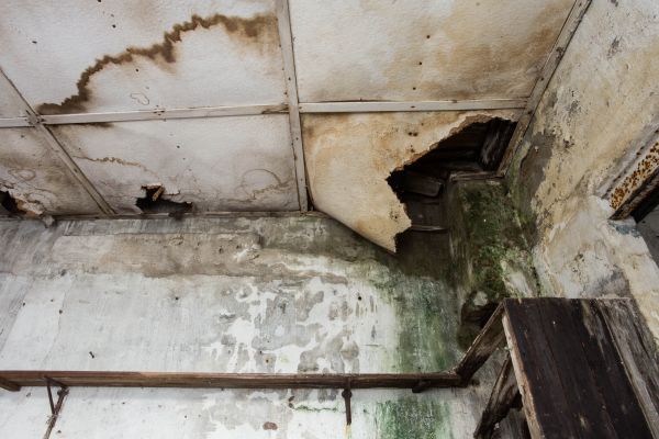 Cost of Water Damage Service in Douglasville
