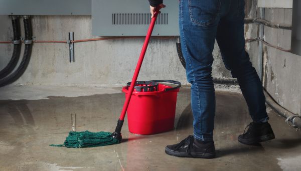 Cost of Flooded Basement Cleanup in Douglasville