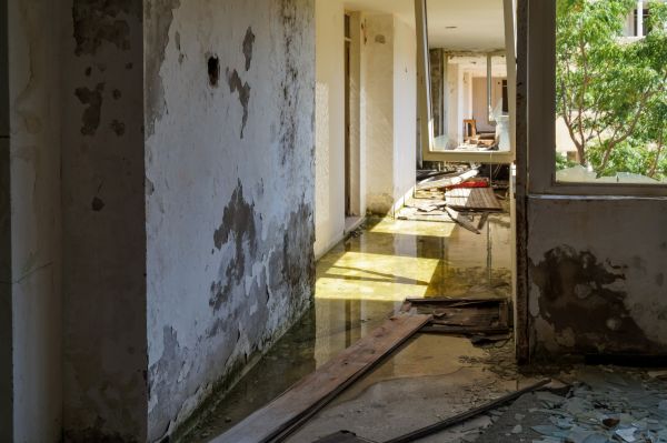 Cost of Water Removal Service in Douglasville