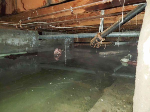 Cost of Water Mitigation Service in Douglasville