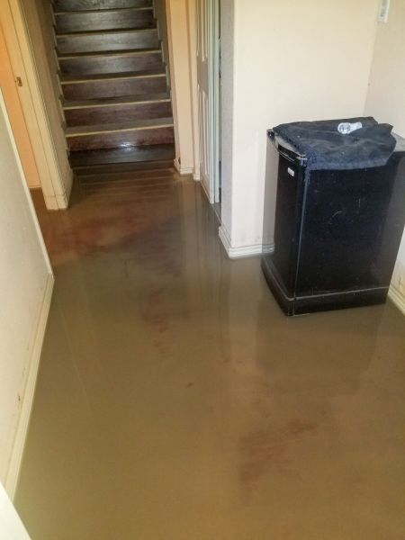 Cost of Emergency Water Removal in Douglasville