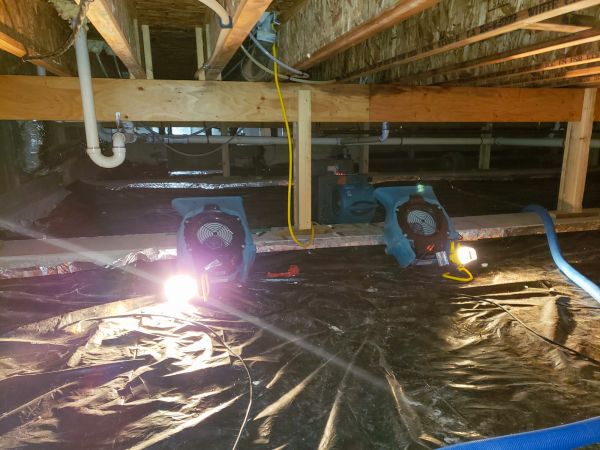 Cost of Crawlspace Water Removal in Douglasville